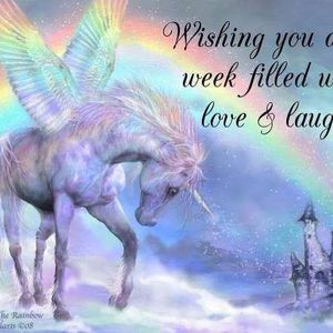 Meet your Posher, Kandida